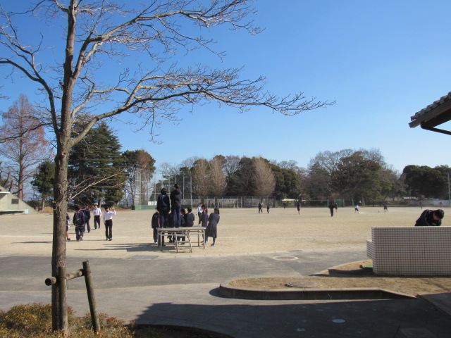 IMG_9830 IMG_9830