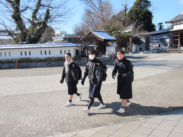 IMG_0256 IMG_0256