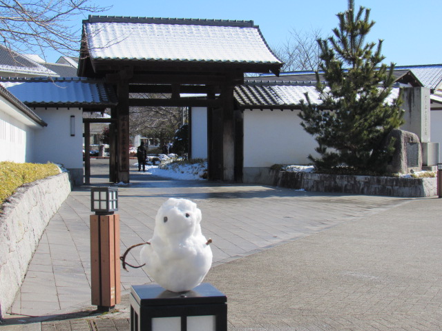 IMG_0270 IMG_0270