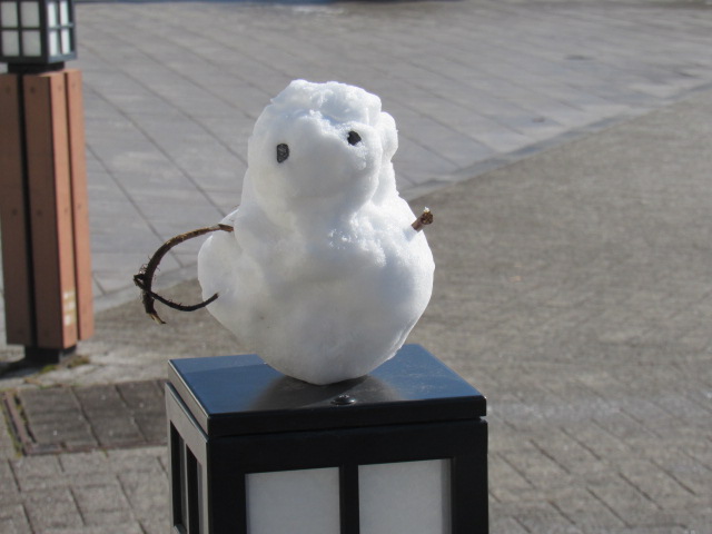 IMG_0271 IMG_0271