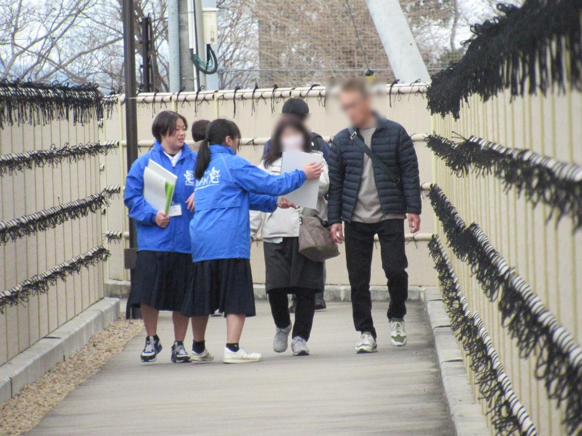 IMG_0937 IMG_0937