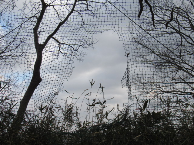 IMG_1054 IMG_1054