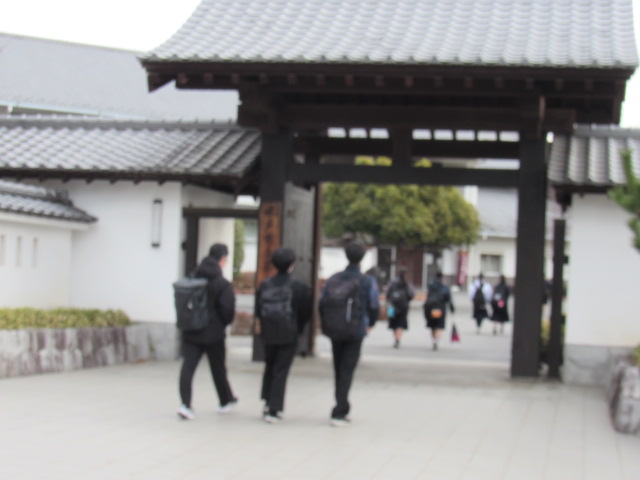 IMG_1064 IMG_1064