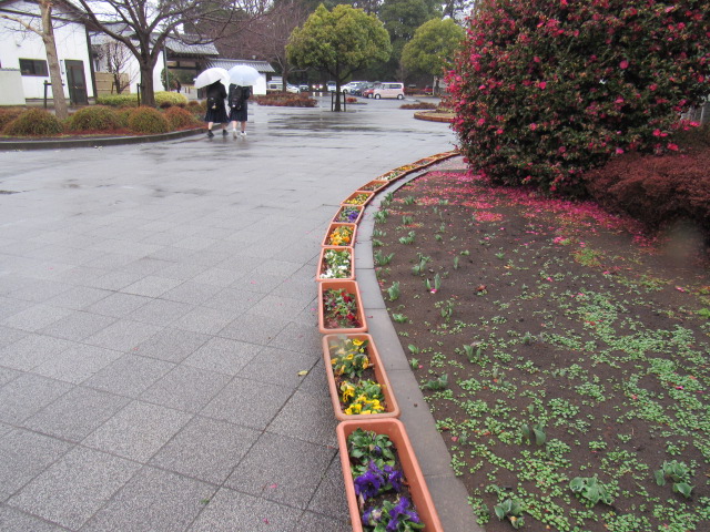 IMG_1130 IMG_1130