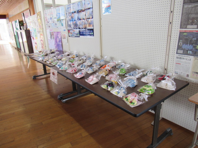 IMG_1172 IMG_1172