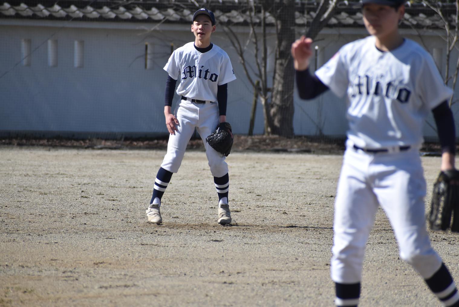 DSC_1545 DSC_1545