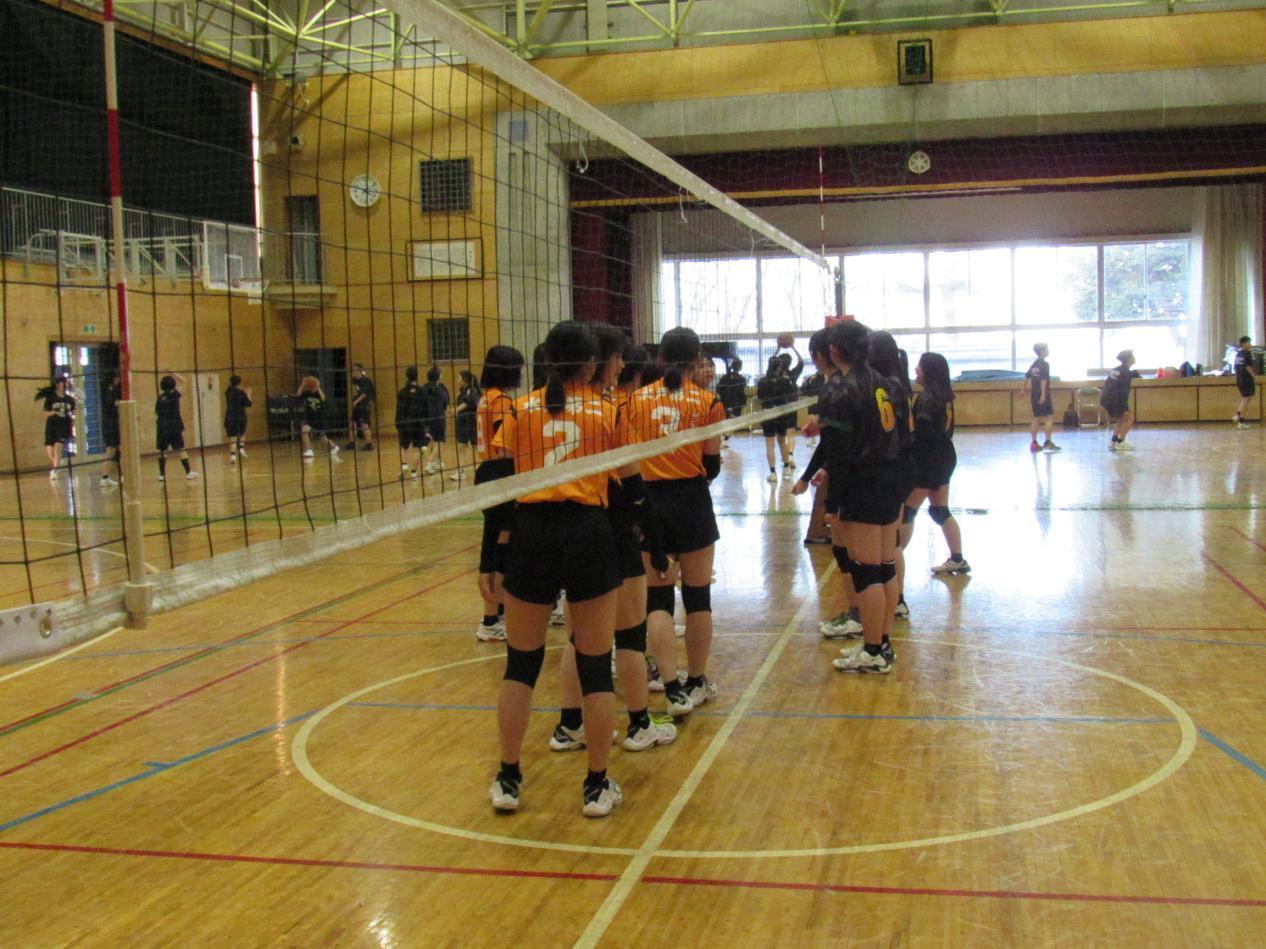 IMG_1681 IMG_1681