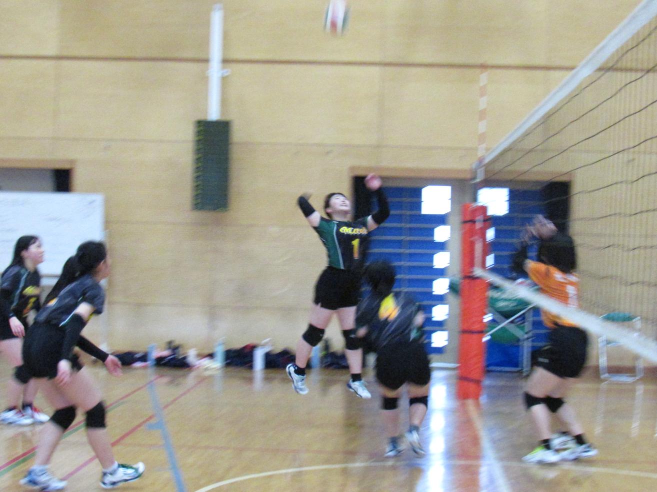 IMG_1733 IMG_1733