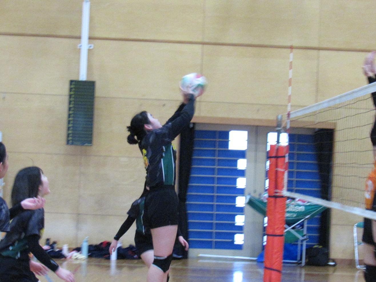 IMG_1764 IMG_1764