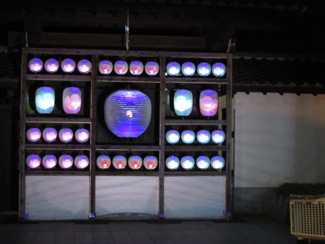 IMG_2693 IMG_2693