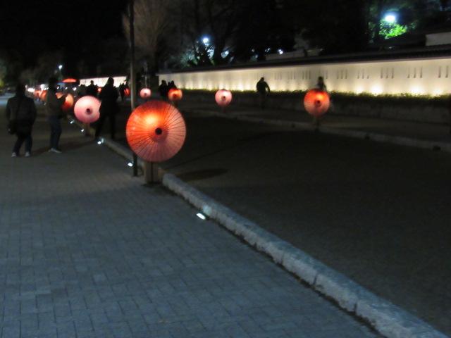 IMG_2701 IMG_2701