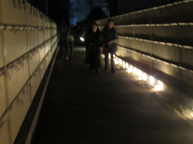 IMG_2709 IMG_2709