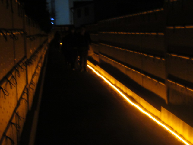 IMG_2711 IMG_2711
