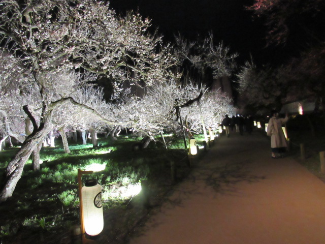 IMG_2756 IMG_2756