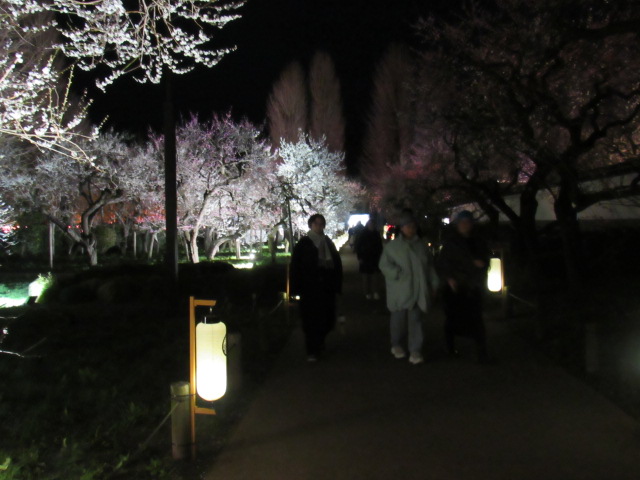 IMG_2758 IMG_2758