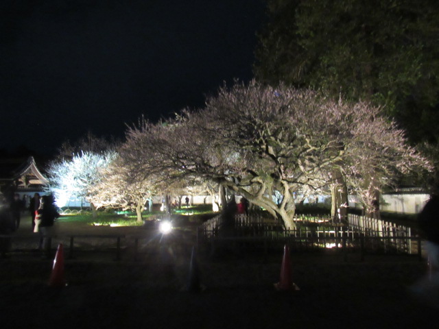 IMG_2745 IMG_2745