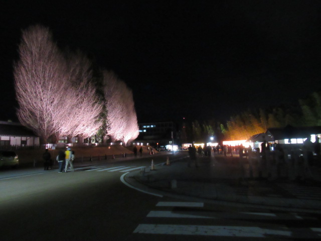 IMG_2731 IMG_2731