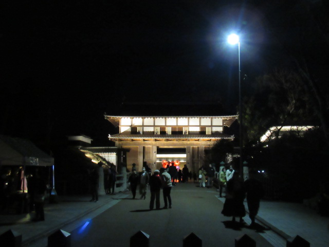 IMG_2733 IMG_2733