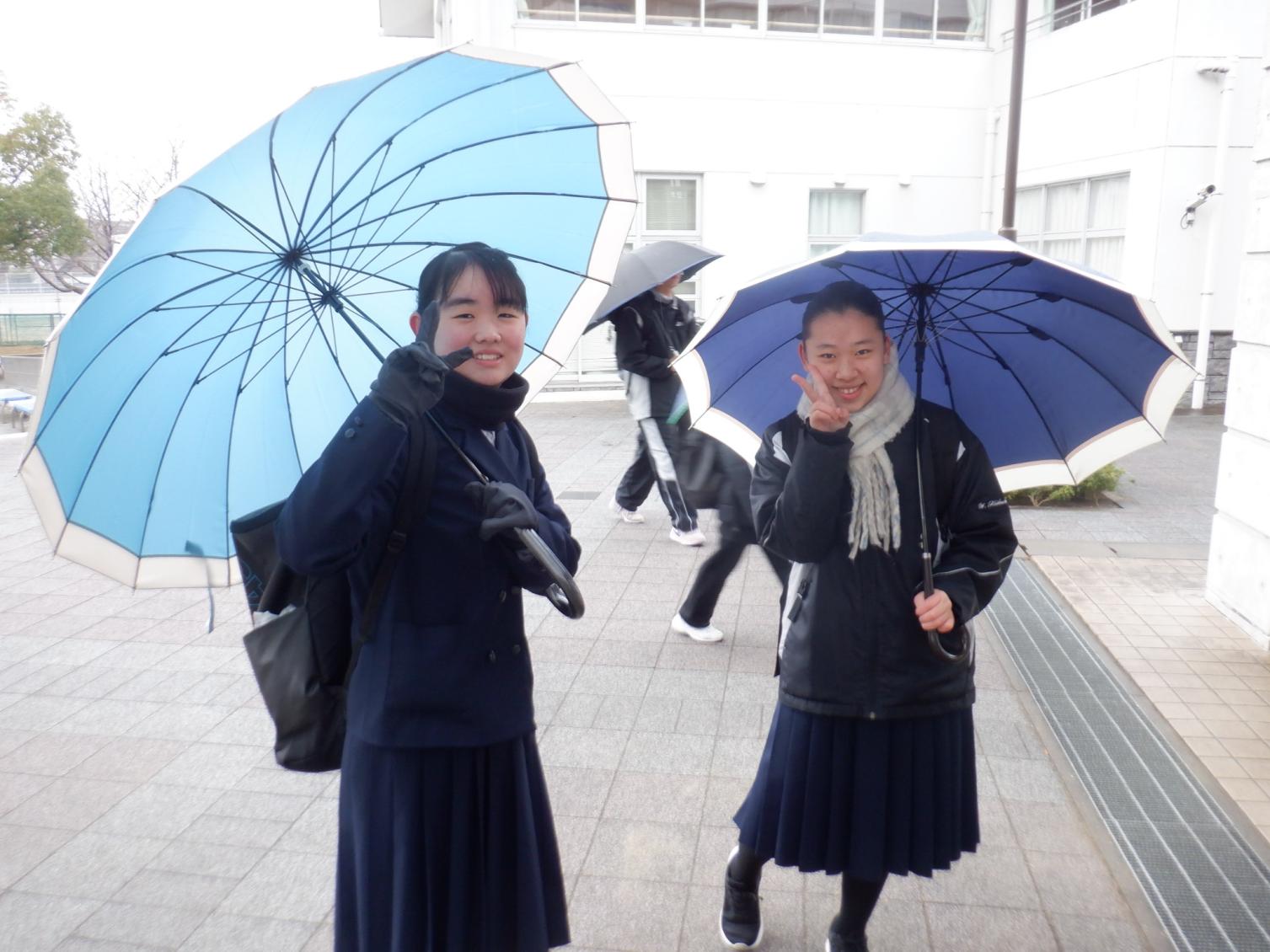 DSCF1456 DSCF1456