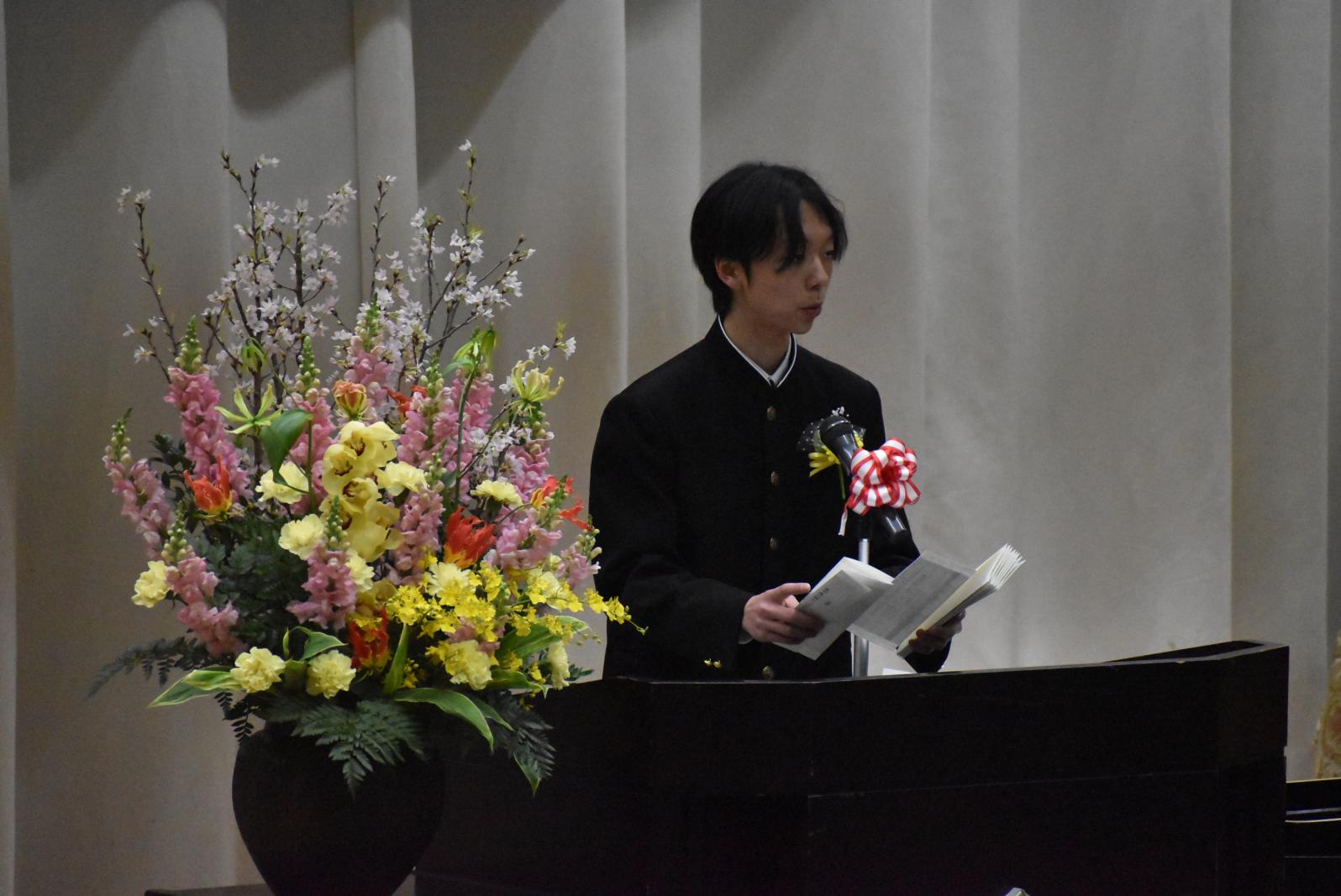 DSC_1703 DSC_1703