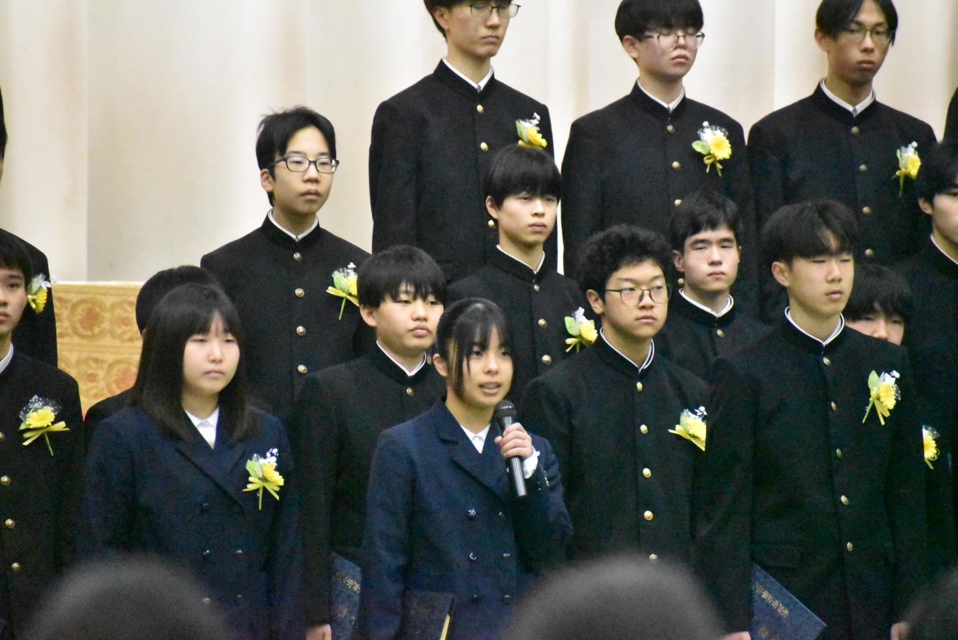 DSC_1756 DSC_1756