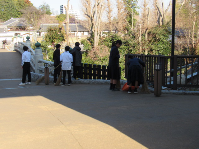 IMG_3172 IMG_3172