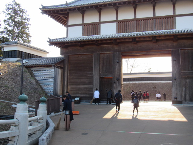 IMG_3176 IMG_3176