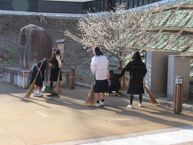 IMG_3179 IMG_3179
