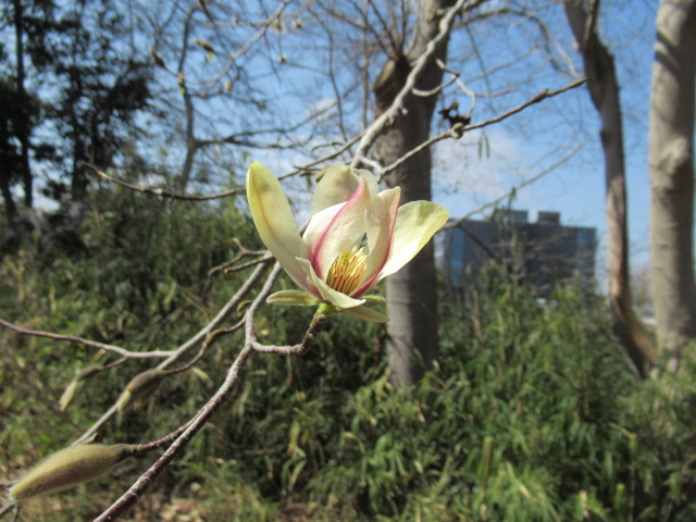 IMG_4259 IMG_4259
