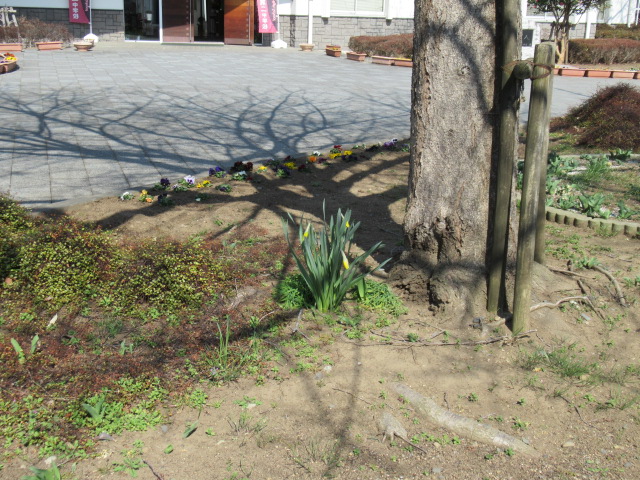 IMG_4262 IMG_4262