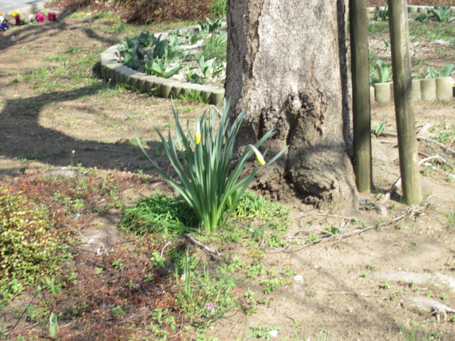 IMG_4260 IMG_4260