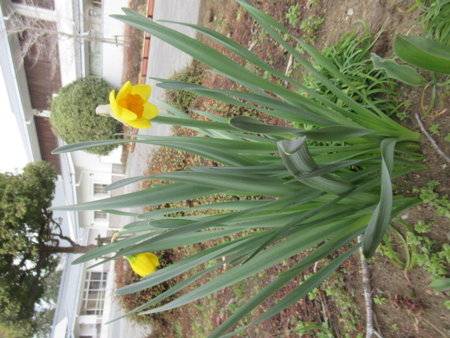 IMG_4284 IMG_4284