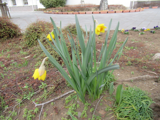 IMG_4283 IMG_4283