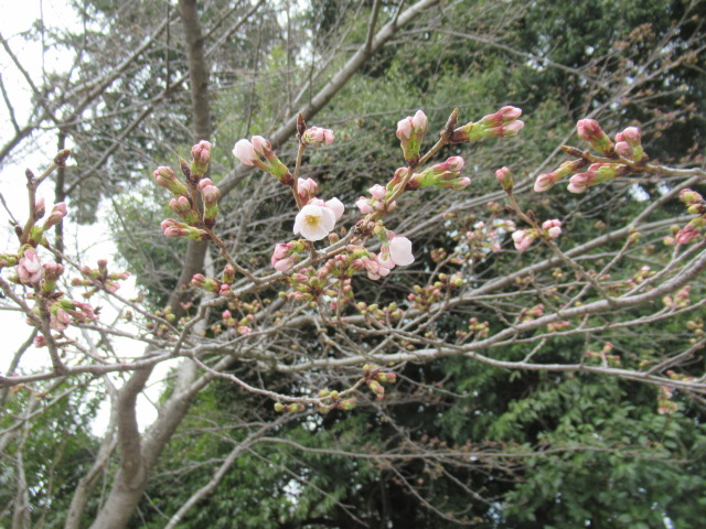IMG_4289 IMG_4289