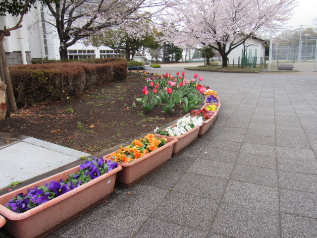 IMG_3843 IMG_3843