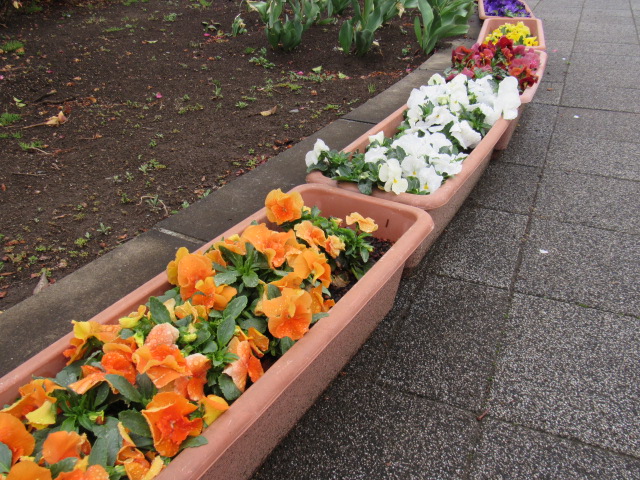 IMG_3844 IMG_3844