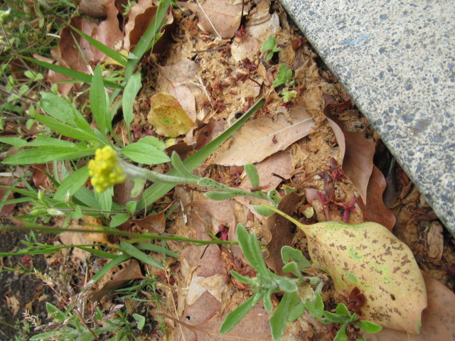 IMG_4359 IMG_4359