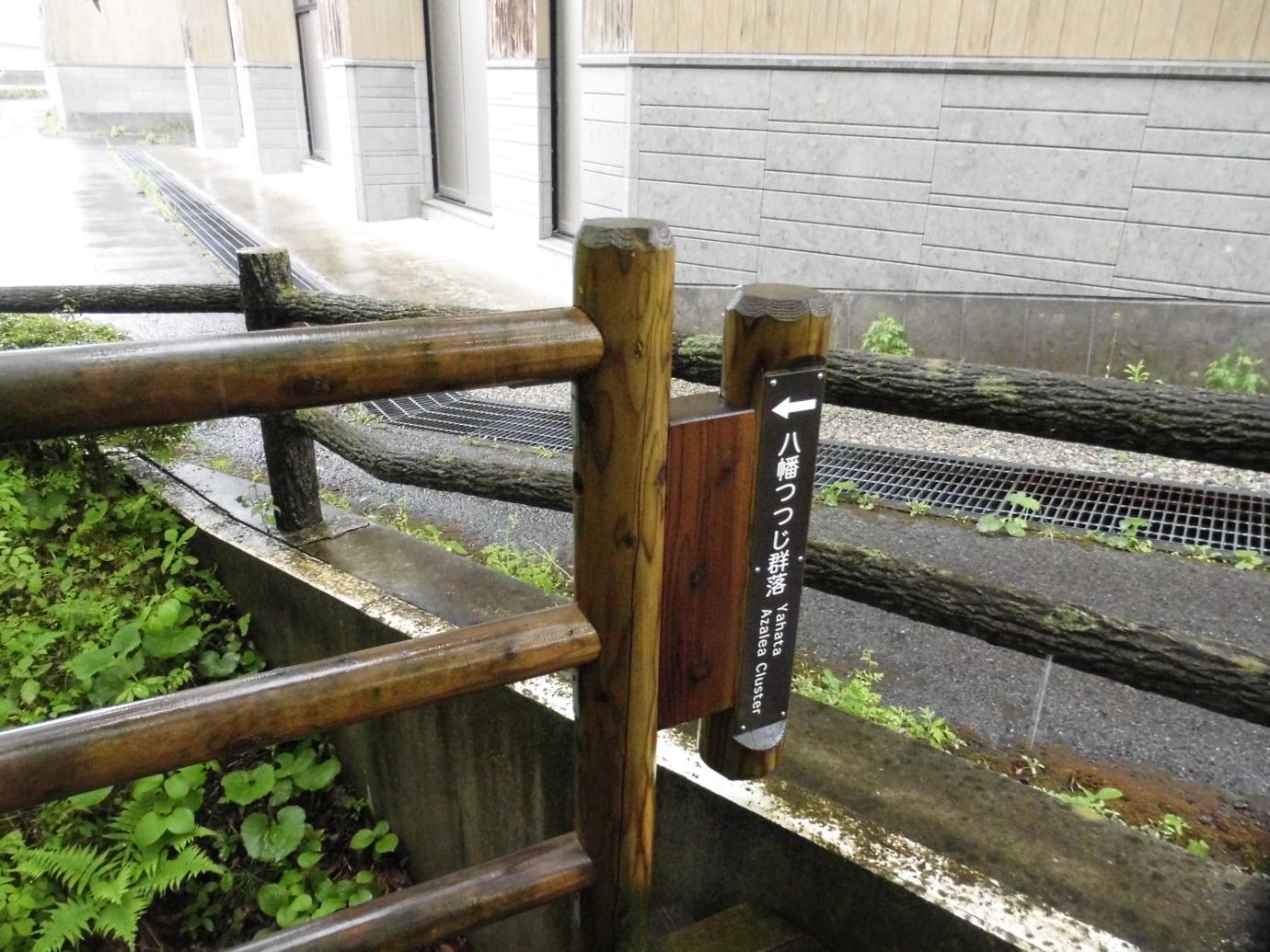 CIMG5817 CIMG5817
