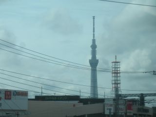 IMG_1255