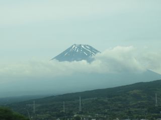 IMG_1270 IMG_1270