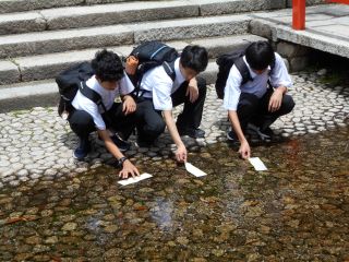 DSCN0869