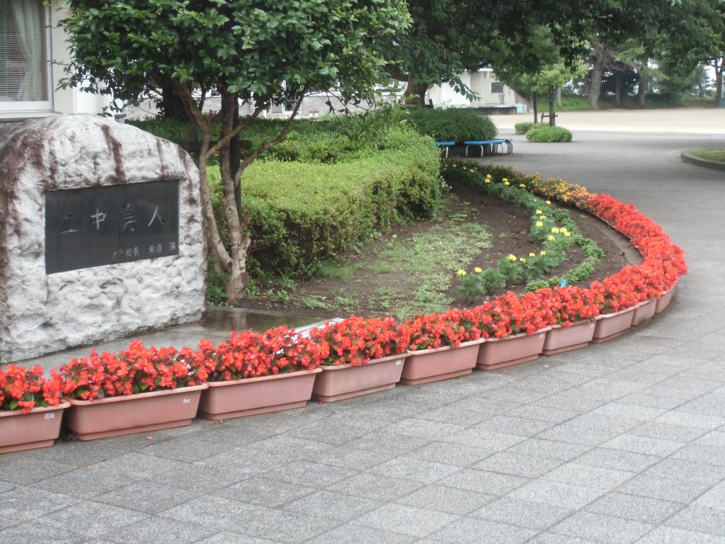 CIMG2361