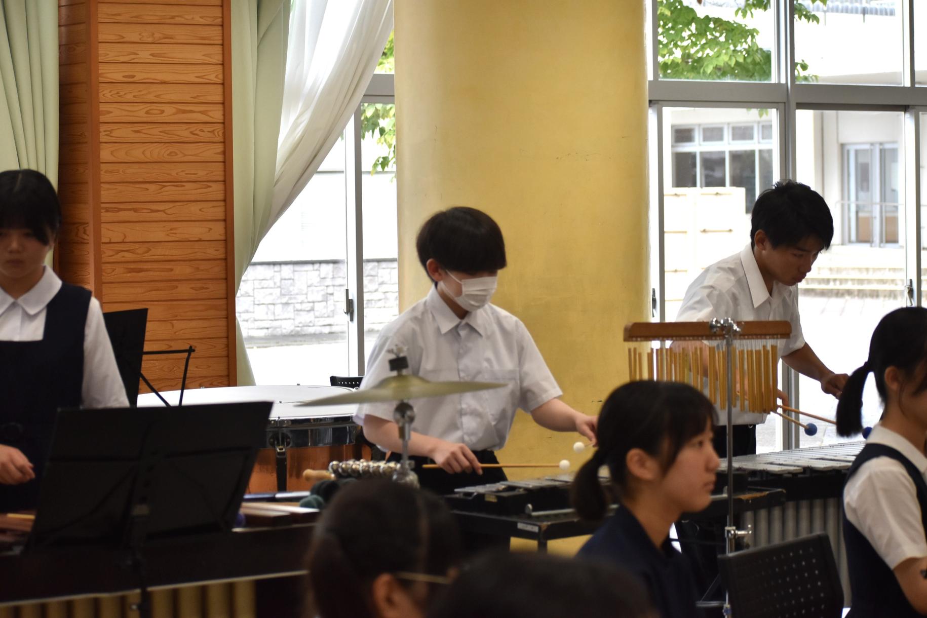 DSC_0379 DSC_0379