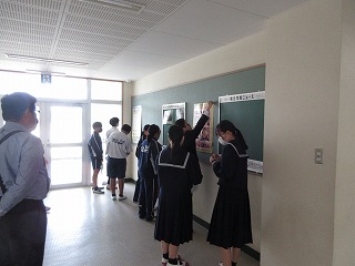 IMG_7601 IMG_7601