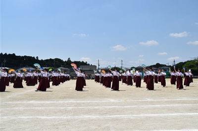 s-DSC_5417