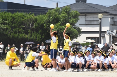 s-DSC_5383