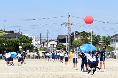 s-DSC_5307