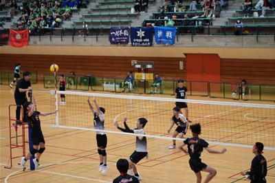 s-_DSC2163 s-_DSC2163