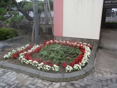 s-IMG_8722 s-IMG_8722