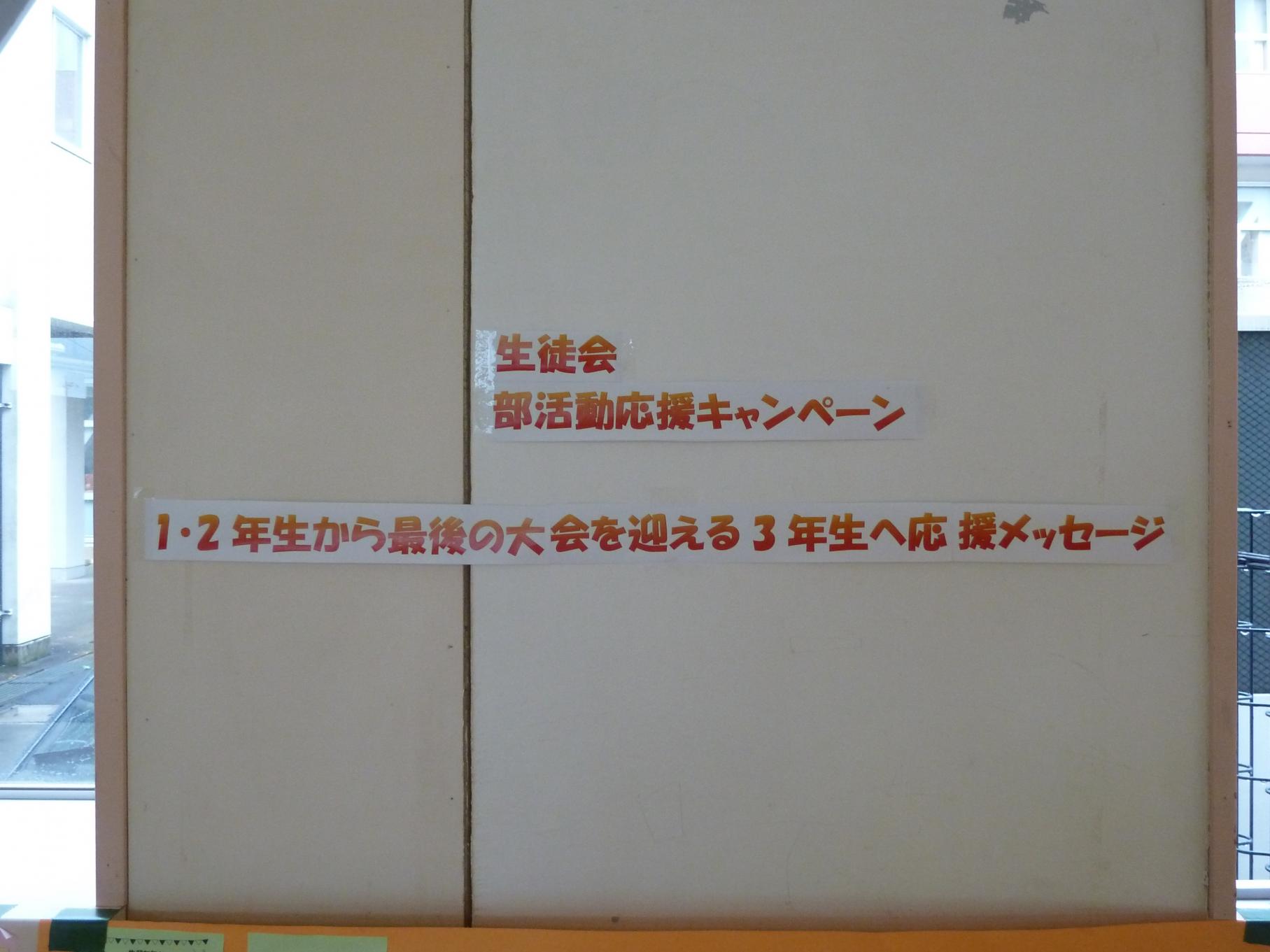 P1060260